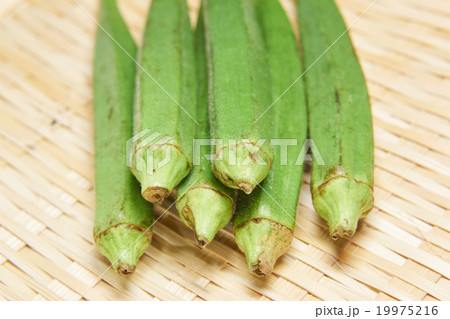 オクラ 19975216