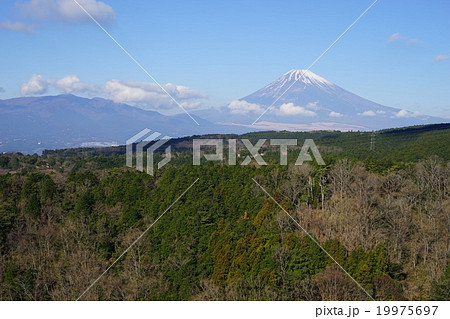 1月富士山1232三島スカイウォーク展望 19975697