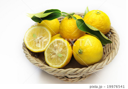 柚子 柚子 19976541