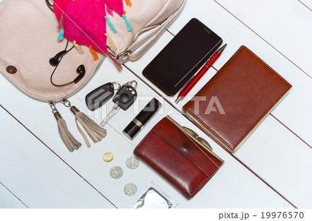 handbag handbag 19976570