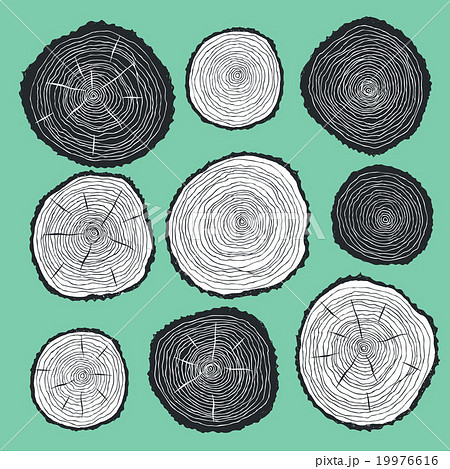 Sketch cut wood 19976616