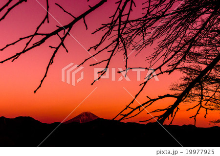 夕暮れの富士 夕暮れの富士 19977925