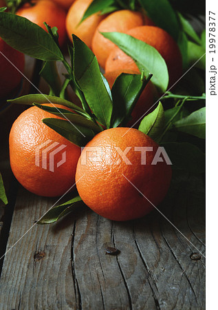 fresh mandarins with leafs fresh mandarins with leafs 19978377
