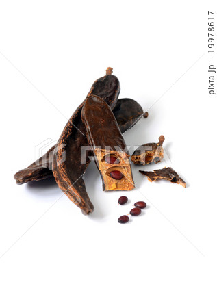 Ripe carob pods Ripe carob pods 19978617