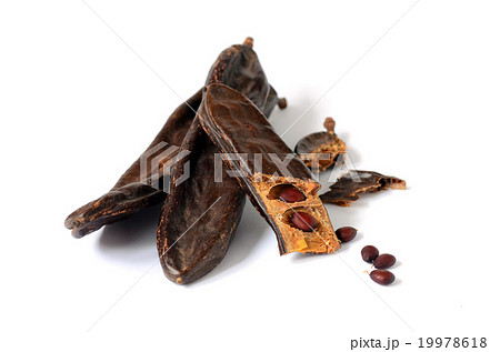 Ripe carob pods Ripe carob pods 19978618