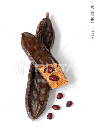 Ripe carob pods Ripe carob pods 19978620