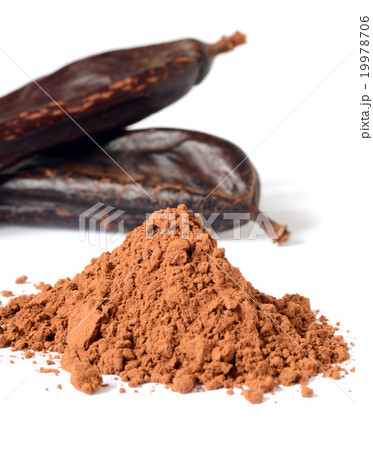 Ripe carob pods Ripe carob pods 19978706
