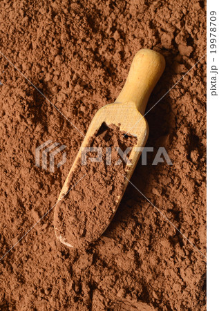 Raw organic carob powder 19978709