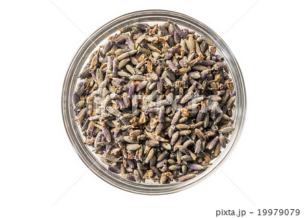 ラベンダーのハーブティー Lavender tea ラベンダーのハーブティー Lavender tea 19979079