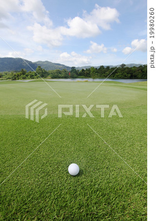 Golfball on grass 19980260