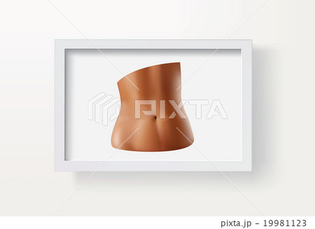 Vector illustration. A fragment of the female body 19981123