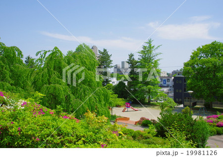 春の榴岡公園（宮城県仙台市） 19981126