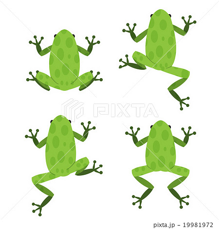 Set Of Green Frog In Flat Style With Patternのイラスト素材