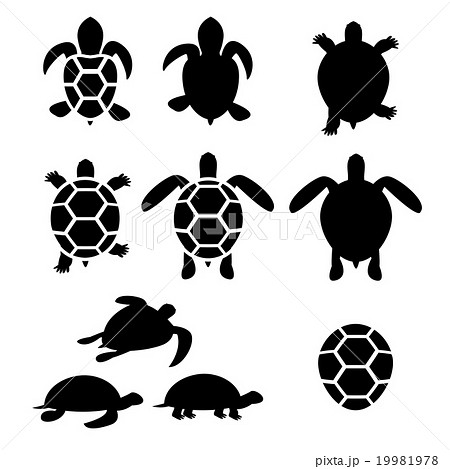 Set Of Turtle And Tortoise Silhouetteのイラスト素材