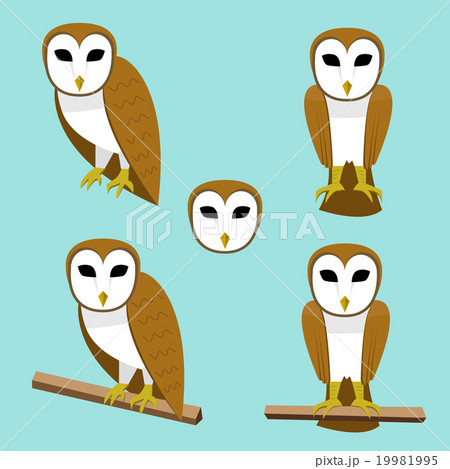 Set of Barn owl on branch in flat style Set of Barn owl on branch in flat style 19981995
