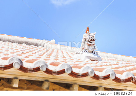 シーサー シーサー 19982324