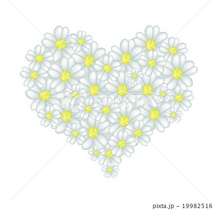 White Yarrow Flowers in A Heart Shape 19982516