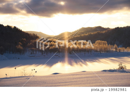 サンピラー サンピラー 19982981