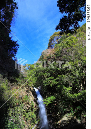 伊豆 釜滝 伊豆 釜滝 19983366