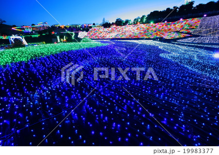 伊豆ぐらんぱる公園　イルミネーション 19983377