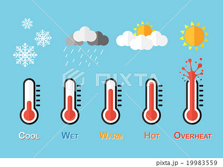 Weather Forecast Weather Forecast 19983559