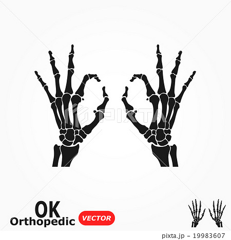 OK orthopedic ( X-ray human hand with OK sign ) OK orthopedic ( X-ray human hand with OK sign ) 19983607