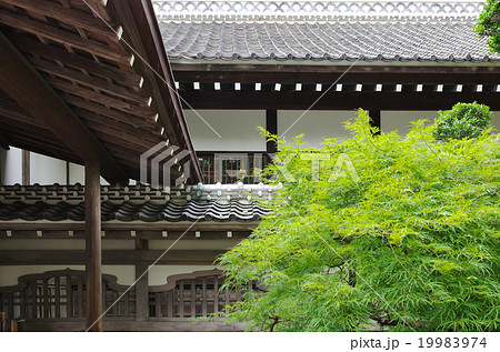 川越城本丸御殿 19983974