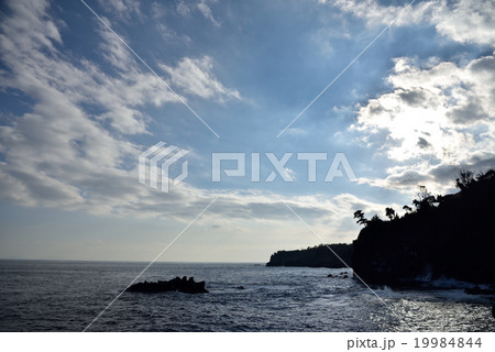 伊豆の城ヶ崎海岸 伊豆の城ヶ崎海岸 19984844