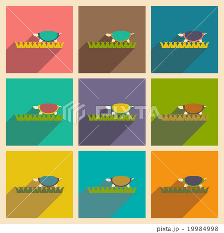 Set of flat icons with long shadow ocean turtle Set of flat icons with long shadow ocean turtle 19984998