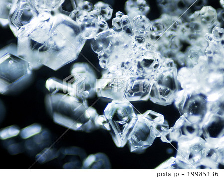 ミョウバンの結晶 19985136