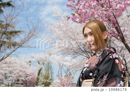 和装美人、春 青空と桜の下で 和装美人、春 青空と桜の下で 19986179