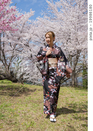 和装美人、春 青空と桜の下で 和装美人、春 青空と桜の下で 19986180