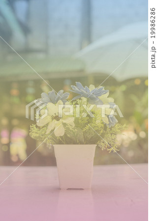 Beautiful flowers made with color filters. Beautiful flowers made with color filters. 19986286