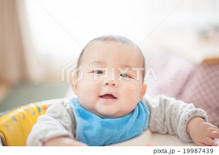 5 months old 5 months old 19987439