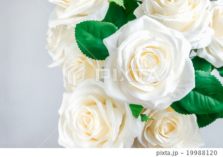 Close up of white Artificial rose 19988120
