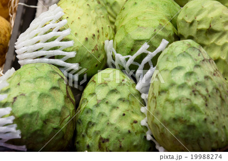 Cherimoya green exotic fruit called a sugar apple. 19988274