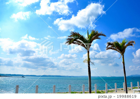 沖縄　勝連の海 19988619