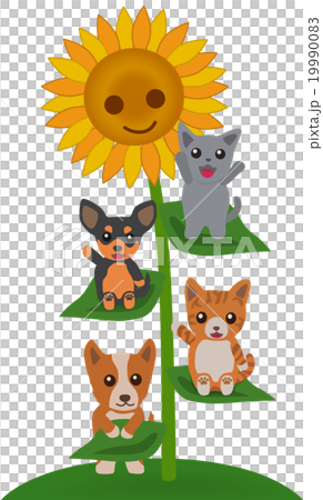 ひまわりに乗る犬と猫 ひまわりに乗る犬と猫 19990083