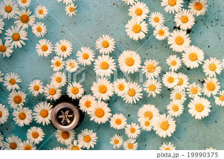 flower floating in water 19990375