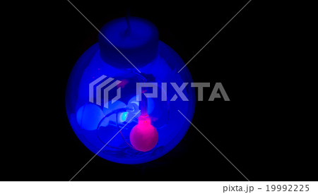 Light Bulbs 19992225