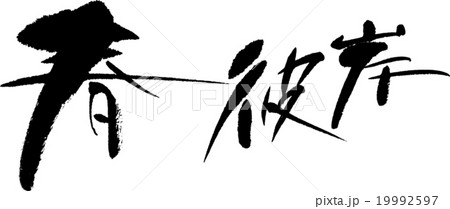 春彼岸 19992597