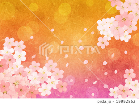 桜のグラデーション背景よこ(水玉) 桜のグラデーション背景よこ(水玉) 19992862