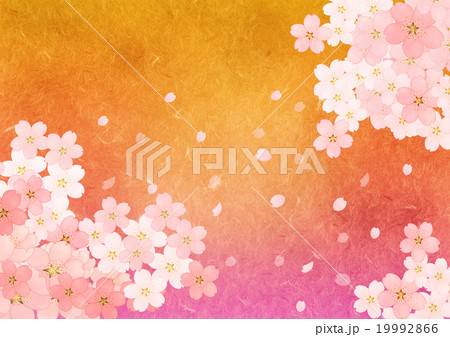 桜のグラデーション背景よこ 桜のグラデーション背景よこ 19992866