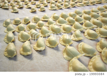 Polish dumplings before cooking. 19993084