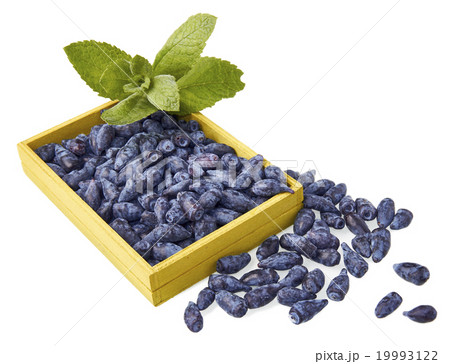 Honeysuckle berrys fruits in a wood box 19993122