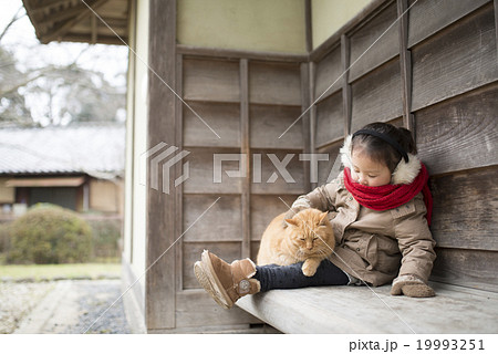 猫と遊ぶ女の子の写真素材