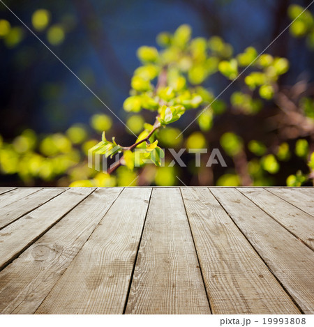 Wooden perspective floor with planks on blurred Wooden perspective floor with planks on blurred 19993808