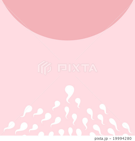 Pregnancy Concept 19994280