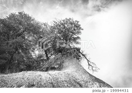Collapsing Horizon Collapsing Horizon 19994431