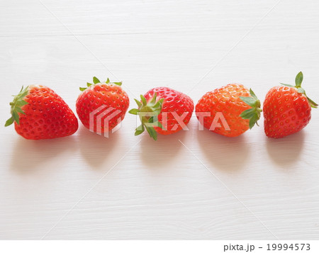 苺 19994573
